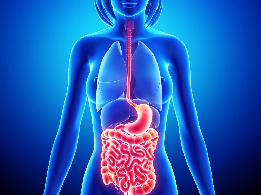Hubungan Kesehatan Mikrobiota Usus dengan Daya Tahan Tubuh dan Keseimbangan Metabolisme